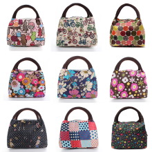Casual Picnic Lunch Box Bag Carry Tote Colorful Storage Handbag
