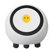 DeepSeek AI stemchatrobot ESP32 S3 1,28 inch LCD scherm N16R8 Elektronische OOG klok Desktop ESPHome assistent voor Xiao
