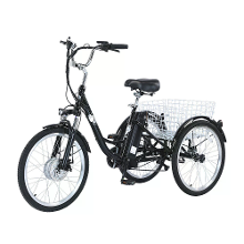 GOGO BEST [EU DIRECT] GOGOBEST GF100 Elektrische Driewieler 36V 15AH Batterij 250W Motor Aanbevolen Topsnelheid 25KM/H 24inch 45 5