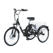 GOGO BEST [EU DIRECT] GOGOBEST GF100 Elektrische Driewieler 36V 20AH Batterij 350W Motor Aanbevolen Topsnelheid 25KM/H 24 inch 70K