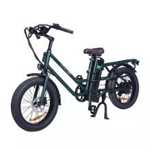 GOGO BEST [EU DIRECT] GOGOBEST GF200 48V 15.6AH 500W 20 Inch Elektrische Fiets 80KM Actieradius Maximaal Laadvermogen 200KG