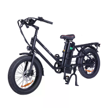 GOGO BEST [EU DIRECT] GOGOBEST GF200 48V 15.6AH 500W Aanbevolen Topsnelheid 25KM/H 20 Inch Elektrische Fiets 80KM Actieradius Max