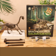 Mijn Hummeltje DinoDig – Spannend en leerzaam – Fossielenopgravingsset Brachiosaurus | Educatief Speelgoed