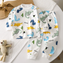 Mijn Hummeltje LittleDreamer – Zacht & Warm – Katoenen Kinder Nachtkleding Set Dino / 80 (6–12 maanden) | Educatief Speelgoed