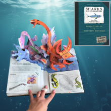 Mijn Hummeltje JurassicKids – Spannend & Educatief – 3D Dinosaurussen Encyclopedie Pop Up Boek Zeemonsters | Educatief Speelgoed