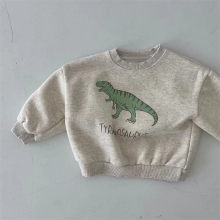 Mijn Hummeltje Mini Fashion™   Leuke Dinosaurus Print   Dino Sweater Licht Grijs / 100 (3 jaar) | Educatief Speelgoed