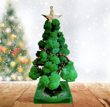 Mijn Hummeltje GrowTree™   Kweek je eigen kerstboom!   Kerstboom kweekset (1+1 GRATIS) 1+1 GRATIS | Educatief Speelgoed