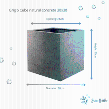 Green bubble Pot Grigio Cube Natural concrete