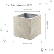 Green bubble Pot Grigio Cube Antique White