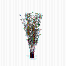 Kunst bamboe Oriental   130 cm