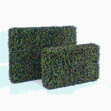 Buxus kunsthaag   55 cm