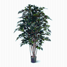 Ficus Benjamina Exotica kunstplant   120 cm