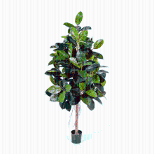 Ficus Elastica kunstplant   180 cm