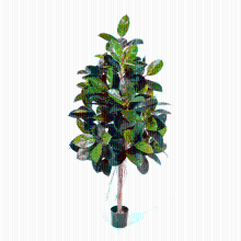 Ficus Elastica kunstplant   210 cm