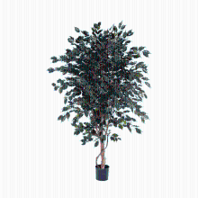Ficus Exotica kunstplant   210 cm