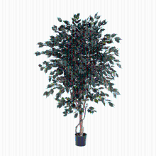 Ficus Exotica kunstplant   240 cm