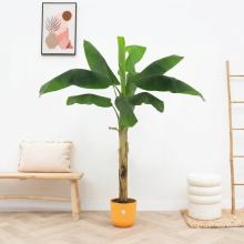 Unold Kunst Bananenplant Musa   180cm