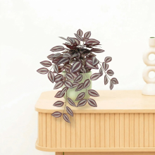 Kunst Tradescantia   32cm