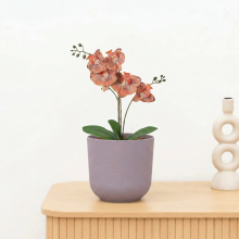 Kunst Phalaenopsis orchid orange   41cm