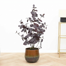 Kunst Eucalyptus purple   86cm