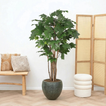 Kunst Maple tree   150cm