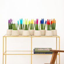 Sansevieria VELVET TOUCHZ   Paars   Wit   Licht blauw   Groen   Geel   Roze   Blauw   Rood   Oranje