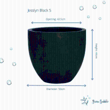 Pot Jesslyn Black
