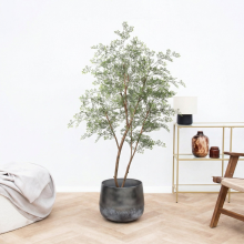 Kunst Cassia boom   180cm