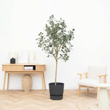 Kunst Eucalyptus   180cm