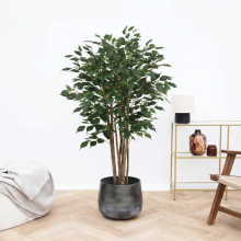Kunst Ficus Benjamina   150cm