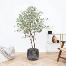 Kunst Ficus Benjamina variegata   185cm