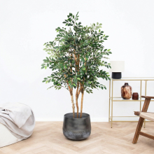 Kunst Ficus Exotica   150cm