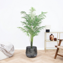 Kunst Kentia palm   170cm