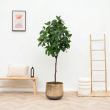 Kunst Magnolia   190cm