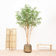 Kunstplant Murraya   325cm