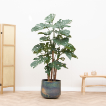 Kunstplant Monstera   210cm