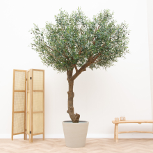 Kunstplant Olijfboom   270cm