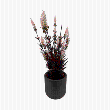 Kunstplant Lavendel Wit   35 cm