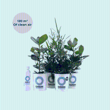 Ogreen Power Squad