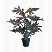 Philodendron Philo kunstplant   55 cm