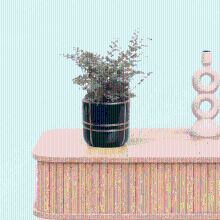 Bambino Nephrolepis Green Fantasy   10cm