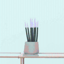 Sansevieria Cylindrica Velvet Touchz wit   25cm