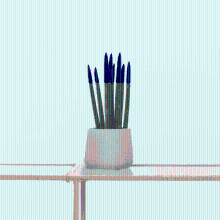 Sansevieria Cylindrica Velvet Touchz blauw   25cm