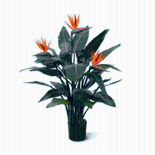 Strelitzia Reginae Kunstplant   115 cm