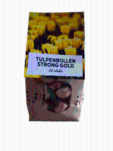 Tulpenbollen Strong Gold   20 stuks