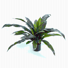 Varen Asplenium kunstplant   80 cm