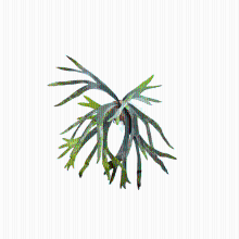 Varen Staghorn Kunstplant   55 cm