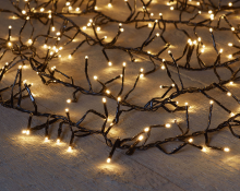 Blokker.Nl Anna’s Collection Clusterverlichting 10 m – 768 warm witte LED’s – Met timer & dimmer – Geschikt voor binnen & buiten