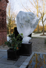 Nature vorstbeschermhoes   wit   2 x 5 m