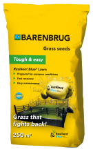 Barenbrug graszaad 5kg tot 250m²   Resilient Blue Lawn   gras dat terugvecht